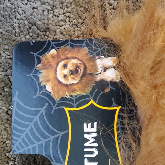 Pet Dog Halloween Parade Costume Hat - Lion Mane  Size Small 10"-13"  NWT - Picture 2 of 2